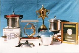 六(liu)十(shi)年民族品牌(pai)雙喜 成就廚具領(ling)域的中國(guo)Style